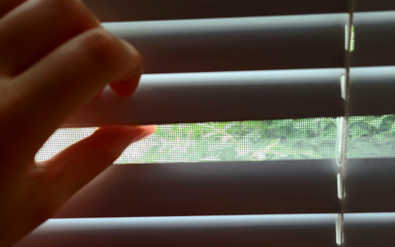 Piedras en la ventana_Laura Moscoso