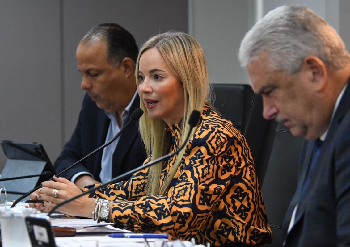 En la foto, la senadora Joanne Rodríguez Veve se expresa en una sesión del Senado de Puerto Rico.